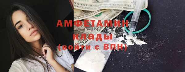 гидра Магас