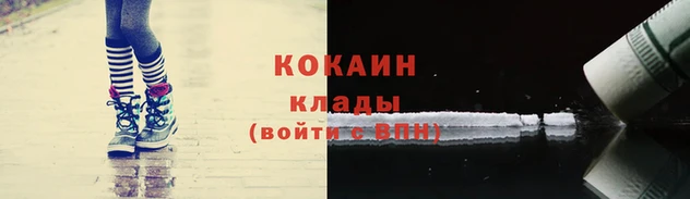 гидра Магас