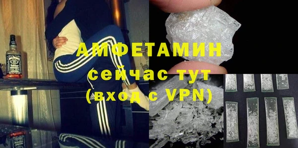 гидра Магас