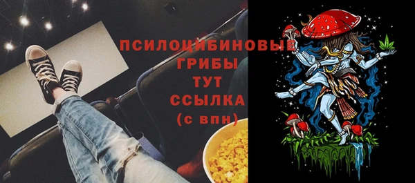 гидра Магас