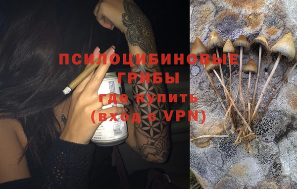 гидра Магас